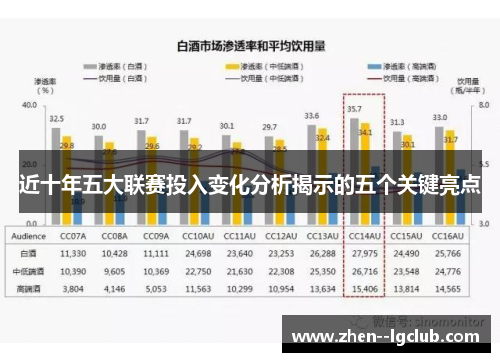 近十年五大联赛投入变化分析揭示的五个关键亮点 近十年五大联赛投入变化分析揭示的五个关键亮点