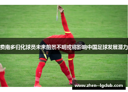 费南多归化球员未来前景不明或将影响中国足球发展潜力 费南多归化球员未来前景不明或将影响中国足球发展潜力