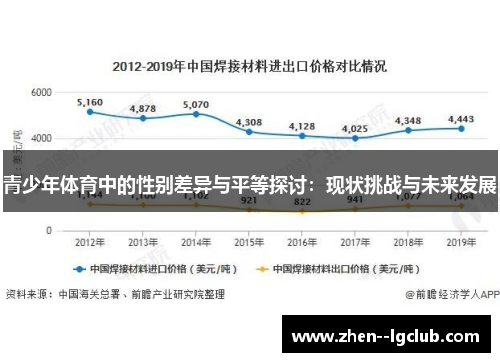 青少年体育中的性别差异与平等探讨：现状挑战与未来发展